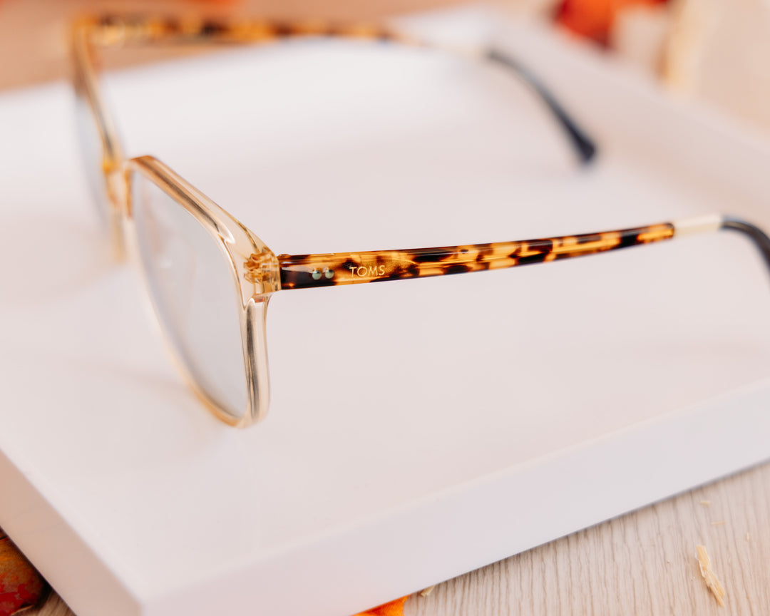 TOMS: Sandela Sunglasses in champagne crystal/cocoa tortoise frame/dark grey photochromic Lens (10017434)