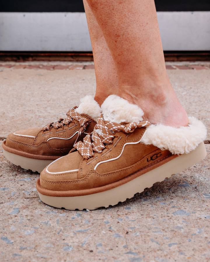 UGG: W Lowmel Mule in Chestnut