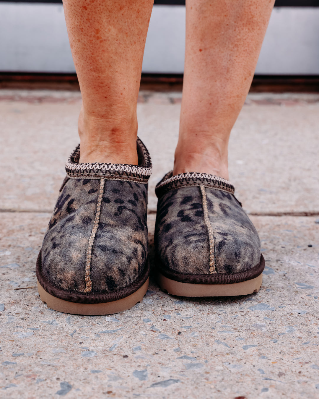 UGG: W Tasman Spotted in Chestnut