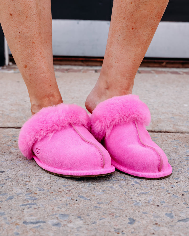 UGG: W Scuffette II in Bright Fuchsia