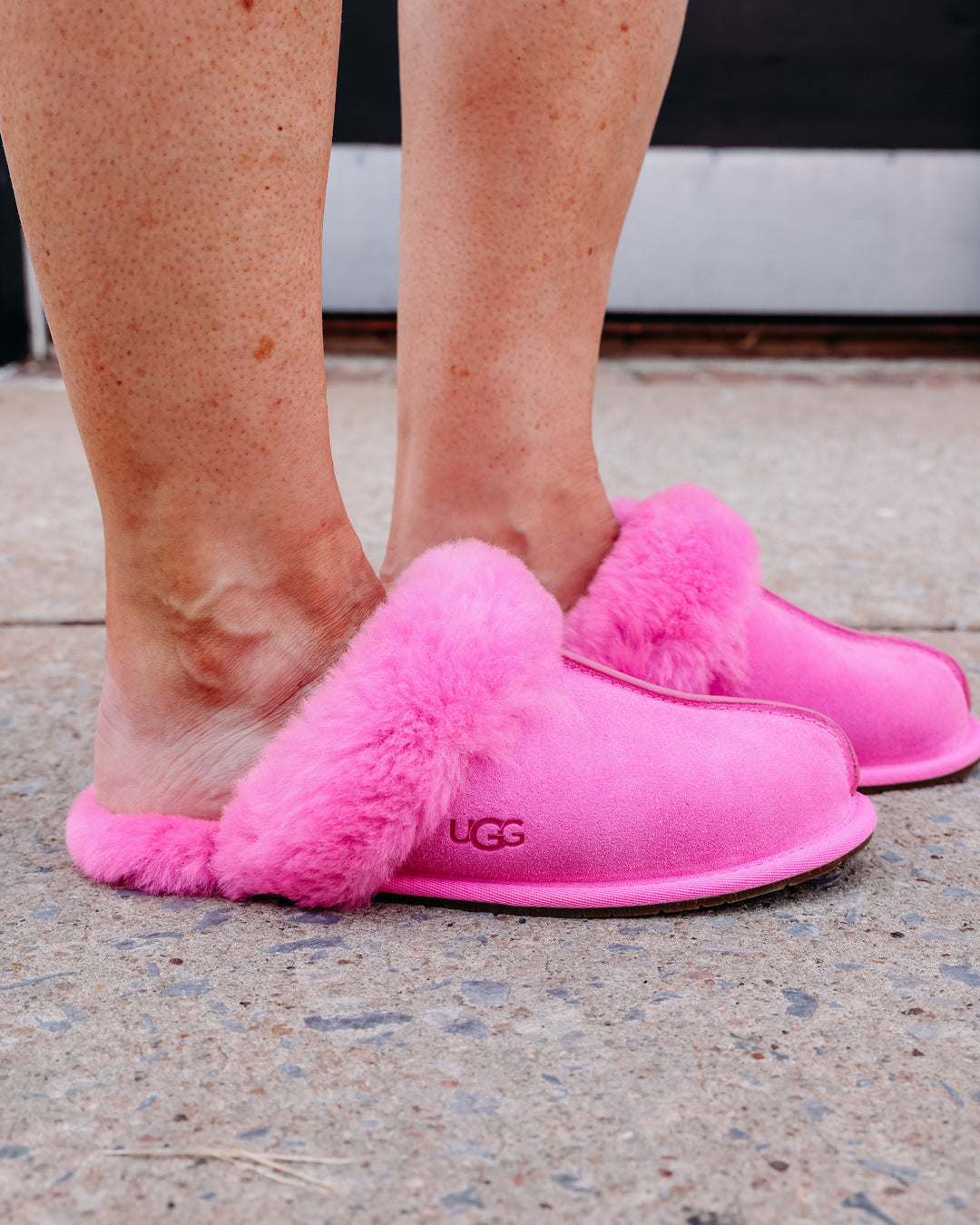 UGG: W Scuffette II in Bright Fuchsia