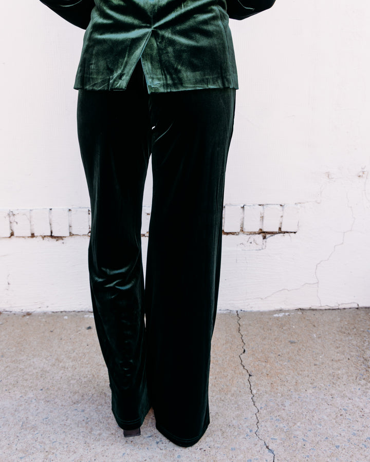 Elan:Velvet Dress Pants in Emerald (Ve2334)