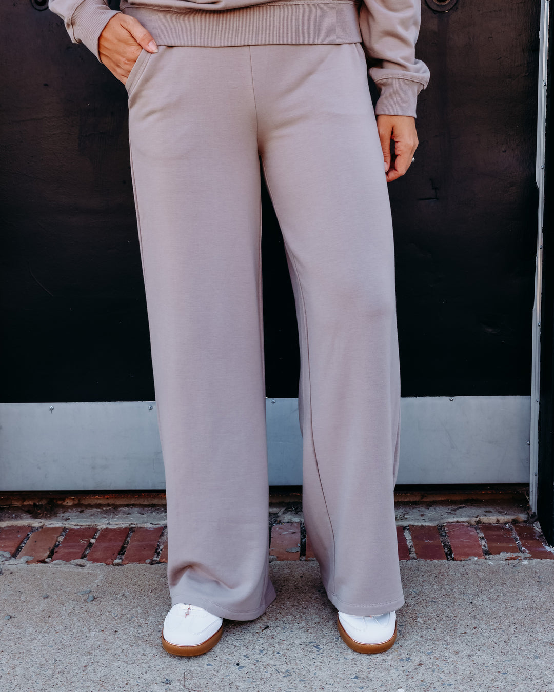 Z Supply: In Transit Modal Pant in Wild Mushroom (ZP263296)