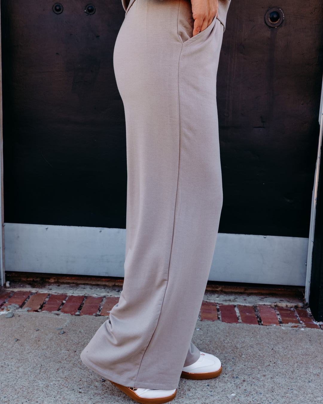 Z Supply: In Transit Modal Pant in Wild Mushroom (ZP263296)