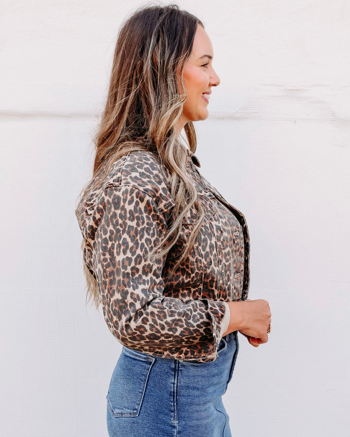 Daze: Del Mar Cropped Trucker Jacket in Cool Cat D00080010-OA