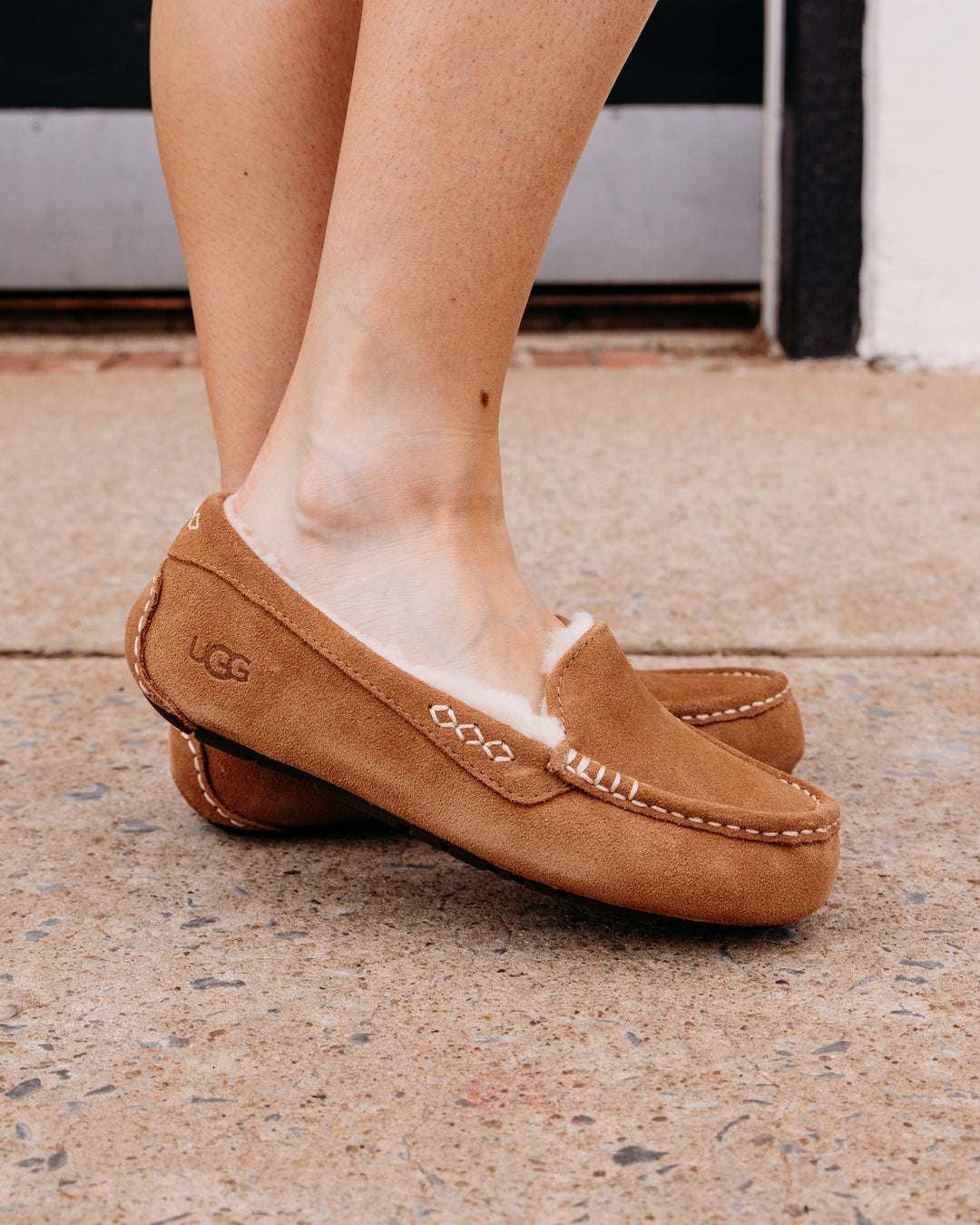 UGG: Ansley Slipper in Chestnut (1106878)