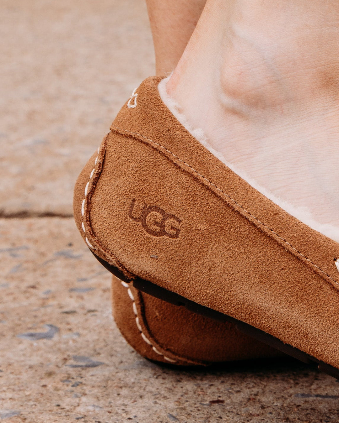 UGG: Ansley Slipper in Chestnut (1106878)