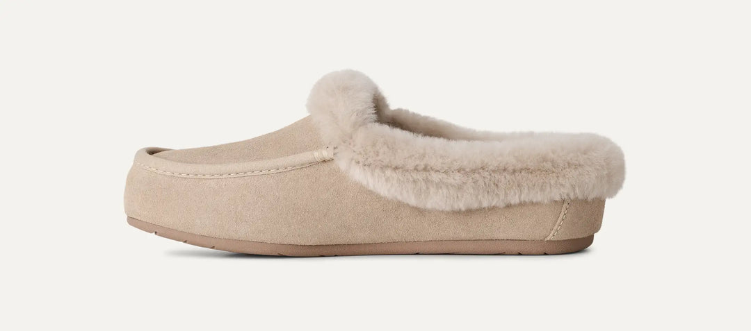 UGG: Ansley Mule in Moonlight (1171391)