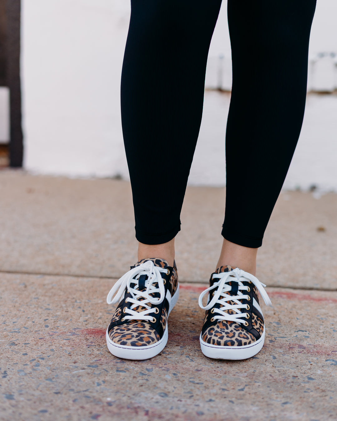 Johnny Was: Leopard Everyday Sneaker in Leopard - The Vogue Boutique