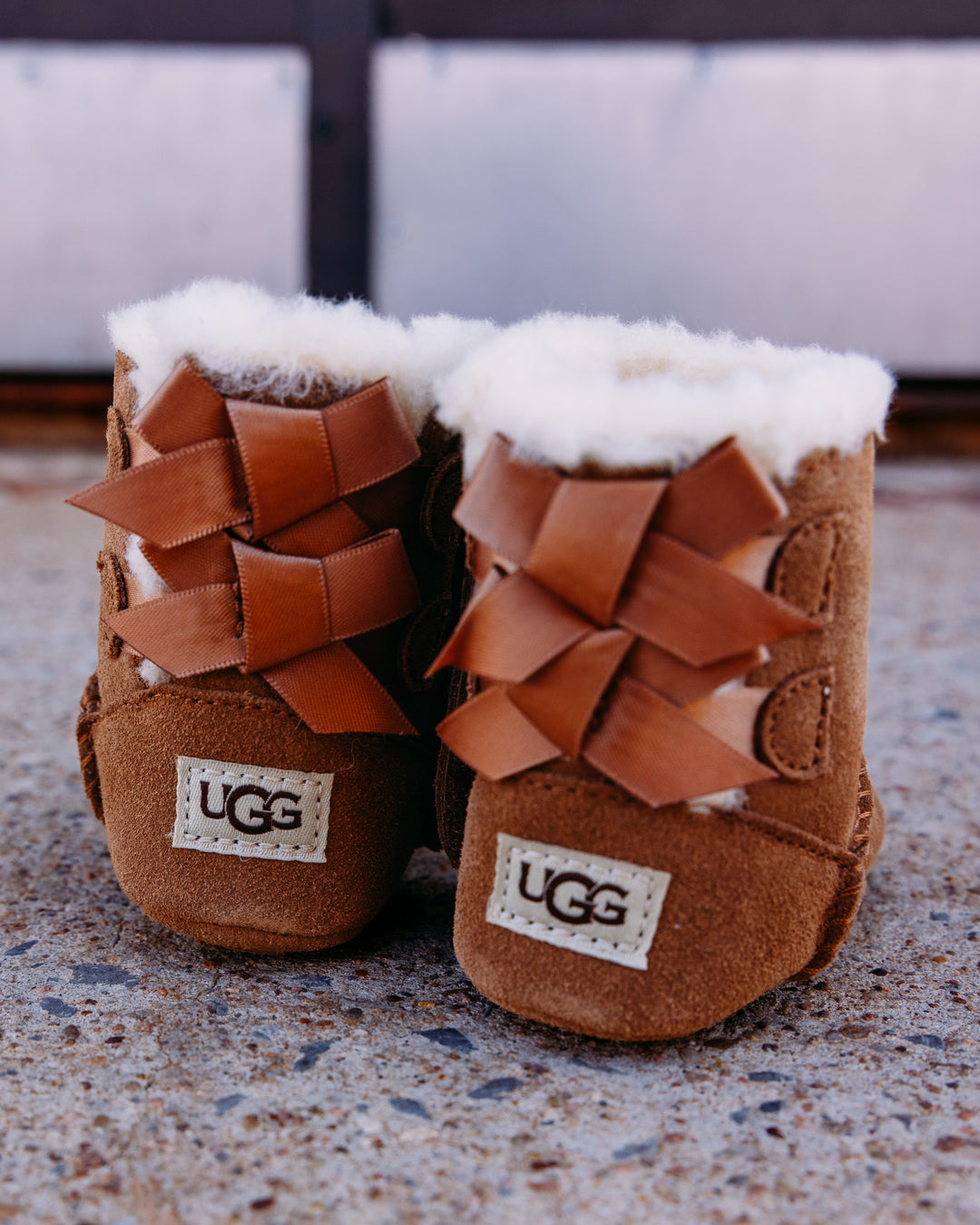 UGG: Baby Bailey Bow in Chestnut
