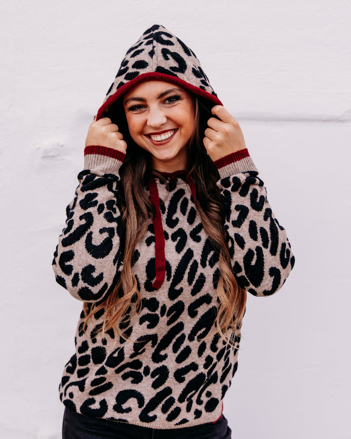 Charlie B: Hooded Sweater In Leopard Jacquard Contrast Trim in Animal (C2436J)