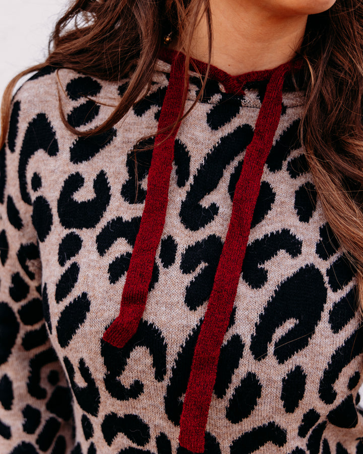 Charlie B: Hooded Sweater In Leopard Jacquard Contrast Trim in Animal (C2436J)