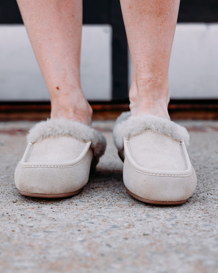 UGG: Ansley Mule in Moonlight (1171391)