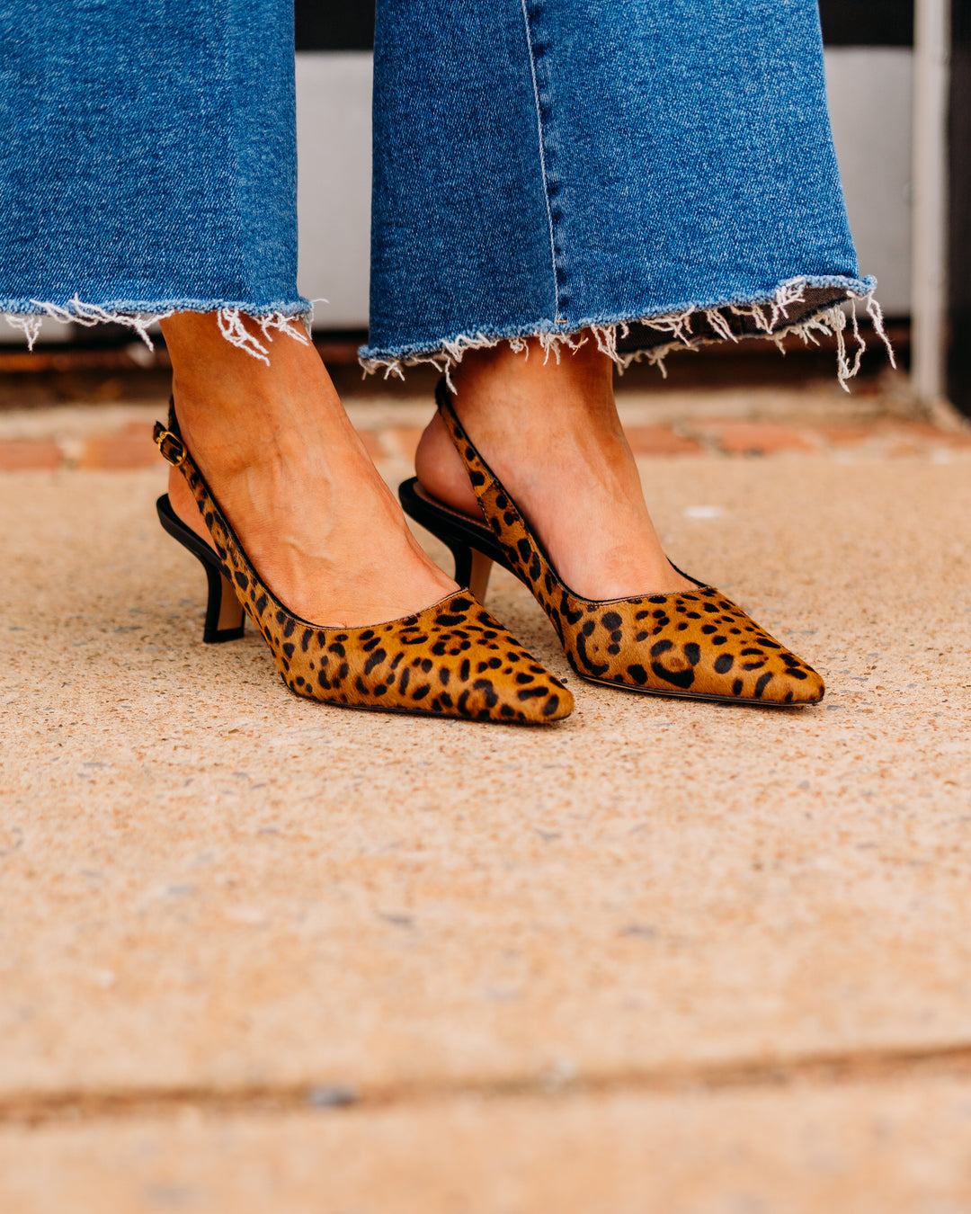 Sam Edelman: Bianka Sling in Leopard Print - The Vogue Boutique