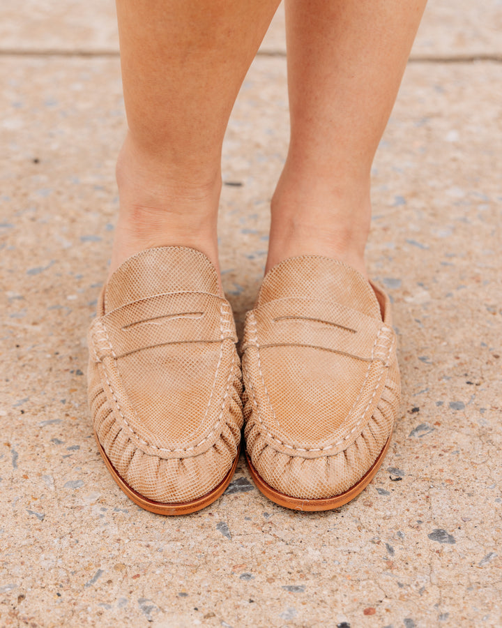 Dolce Vita: Betzy Flat in Latte Embossed Suede (BETZY)
