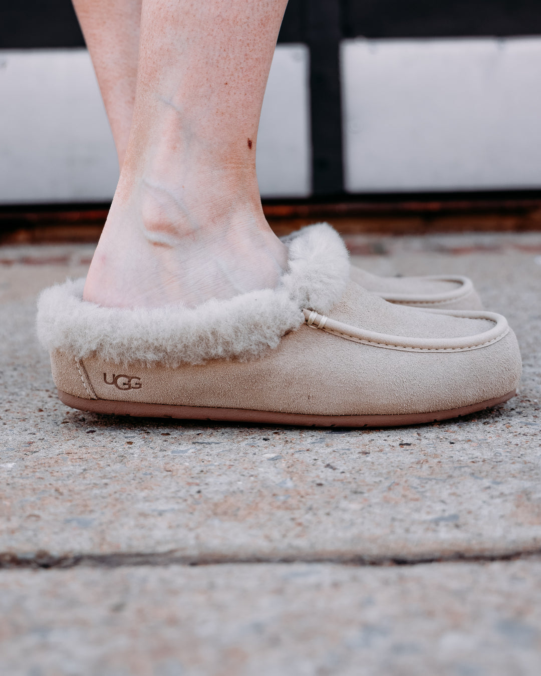 UGG: Ansley Mule in Moonlight (1171391)