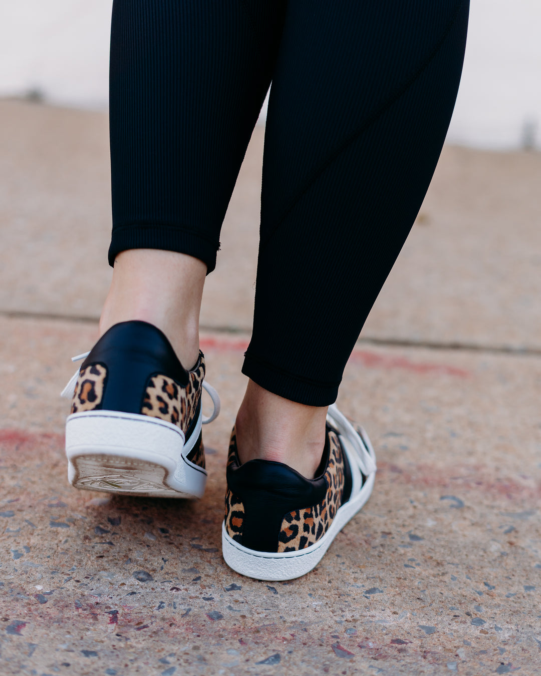 Johnny Was: Leopard Everyday Sneaker in Leopard - The Vogue Boutique
