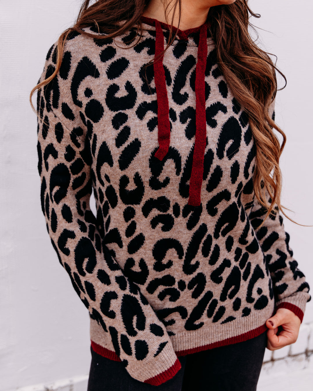 Charlie B: Hooded Sweater In Leopard Jacquard Contrast Trim in Animal (C2436J)