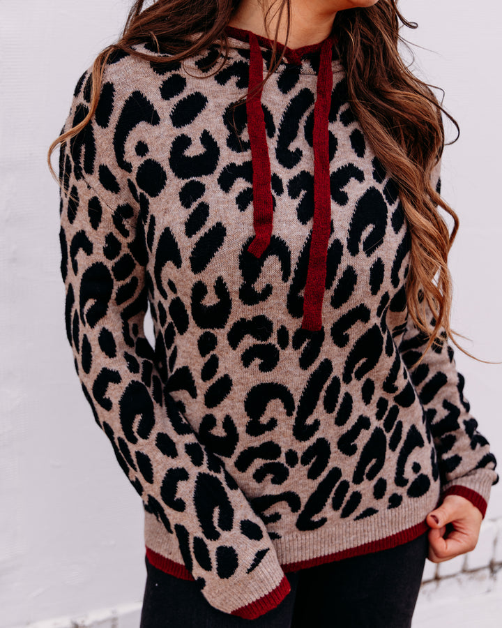 Charlie B: Hooded Sweater In Leopard Jacquard Contrast Trim in Animal (C2436J)