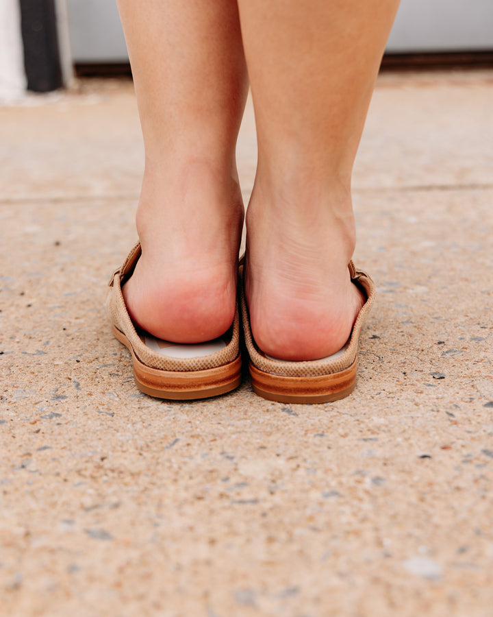 Dolce Vita: Betzy Flat in Latte Embossed Suede (BETZY)