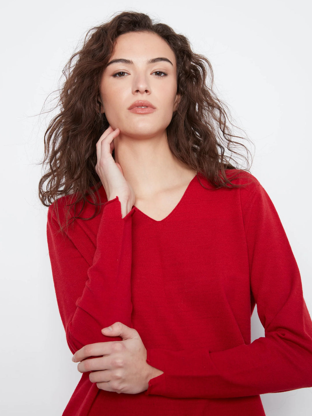Charlie B: Long Sleeve V Neck Sweater in Équestre (C2279RPR)