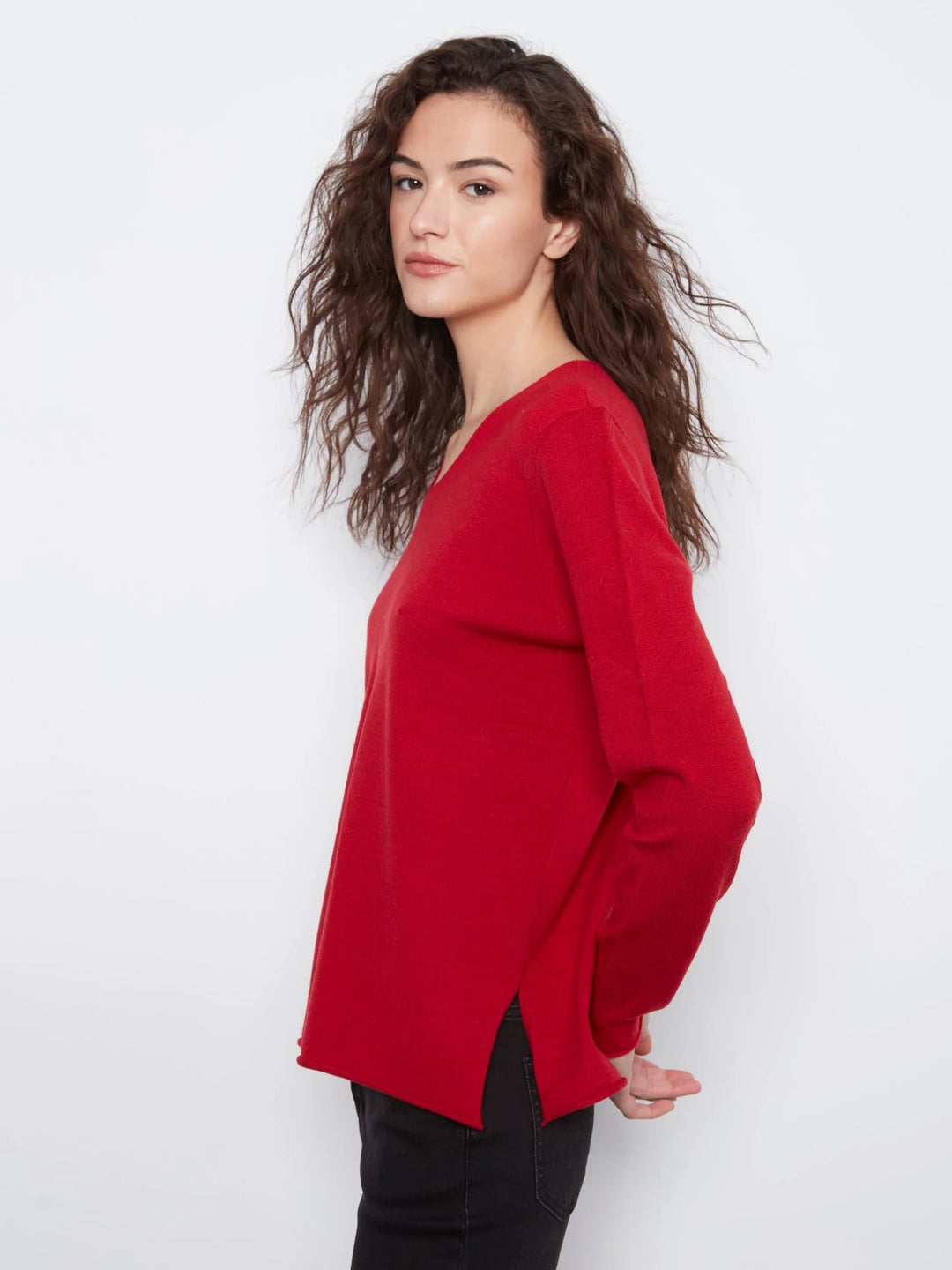 Charlie B: Long Sleeve V Neck Sweater in Équestre (C2279RPR)