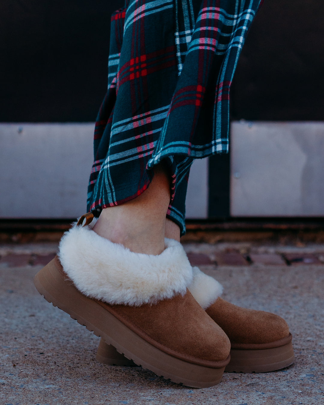 Ugg: W Tazzelle Chestnut Slippers - The Vogue Boutique