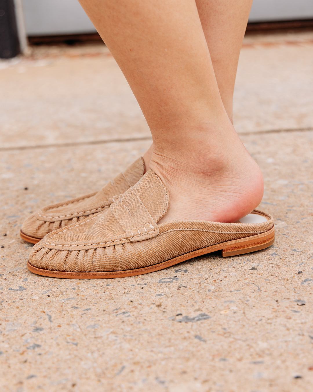 Dolce Vita: Betzy Flat in Latte Embossed Suede (BETZY)
