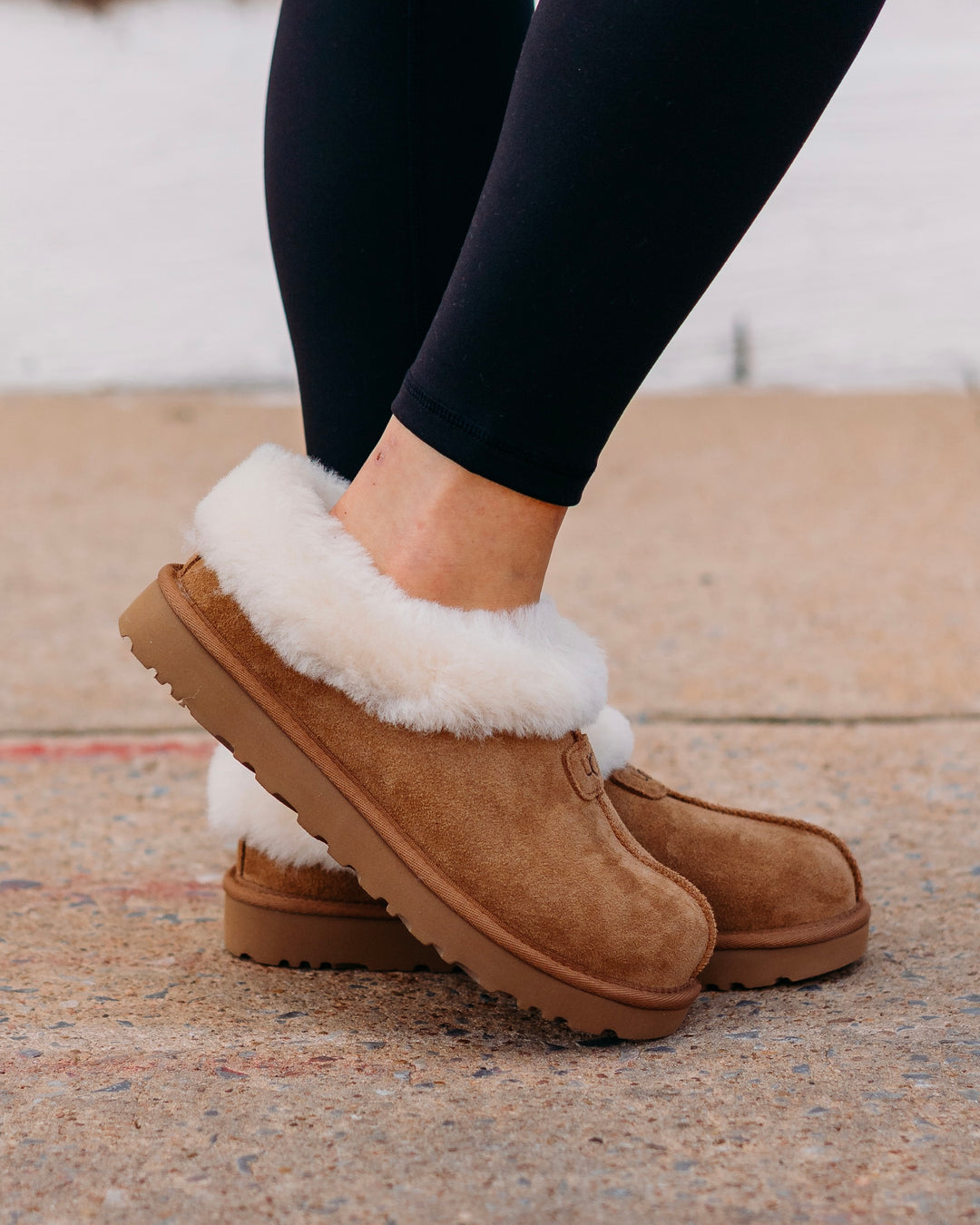 UGG: Tazzette Chestnut (1134810-CHE)