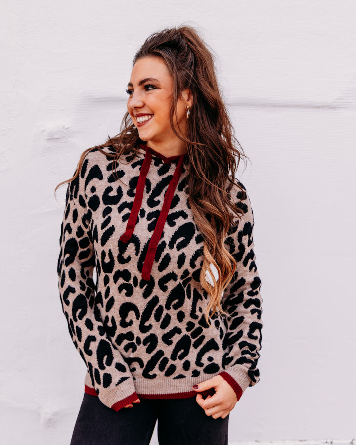 Charlie B: Hooded Sweater In Leopard Jacquard Contrast Trim in Animal (C2436J)