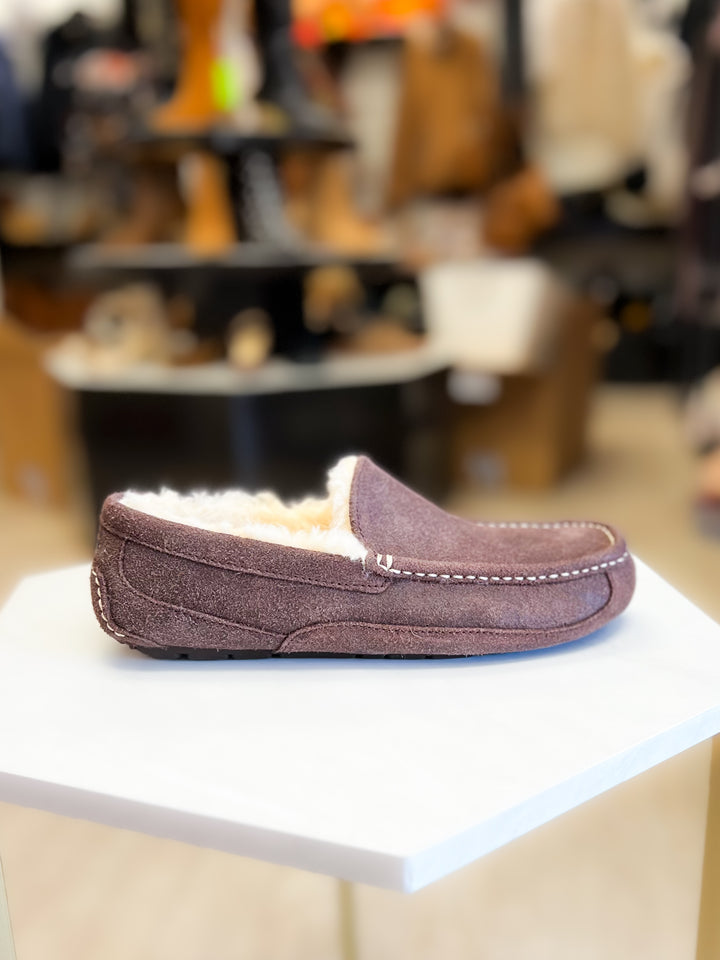 Ugg: Men Ascot Leather Distressed Slipper in Dusted Cocoa - The Vogue Boutique