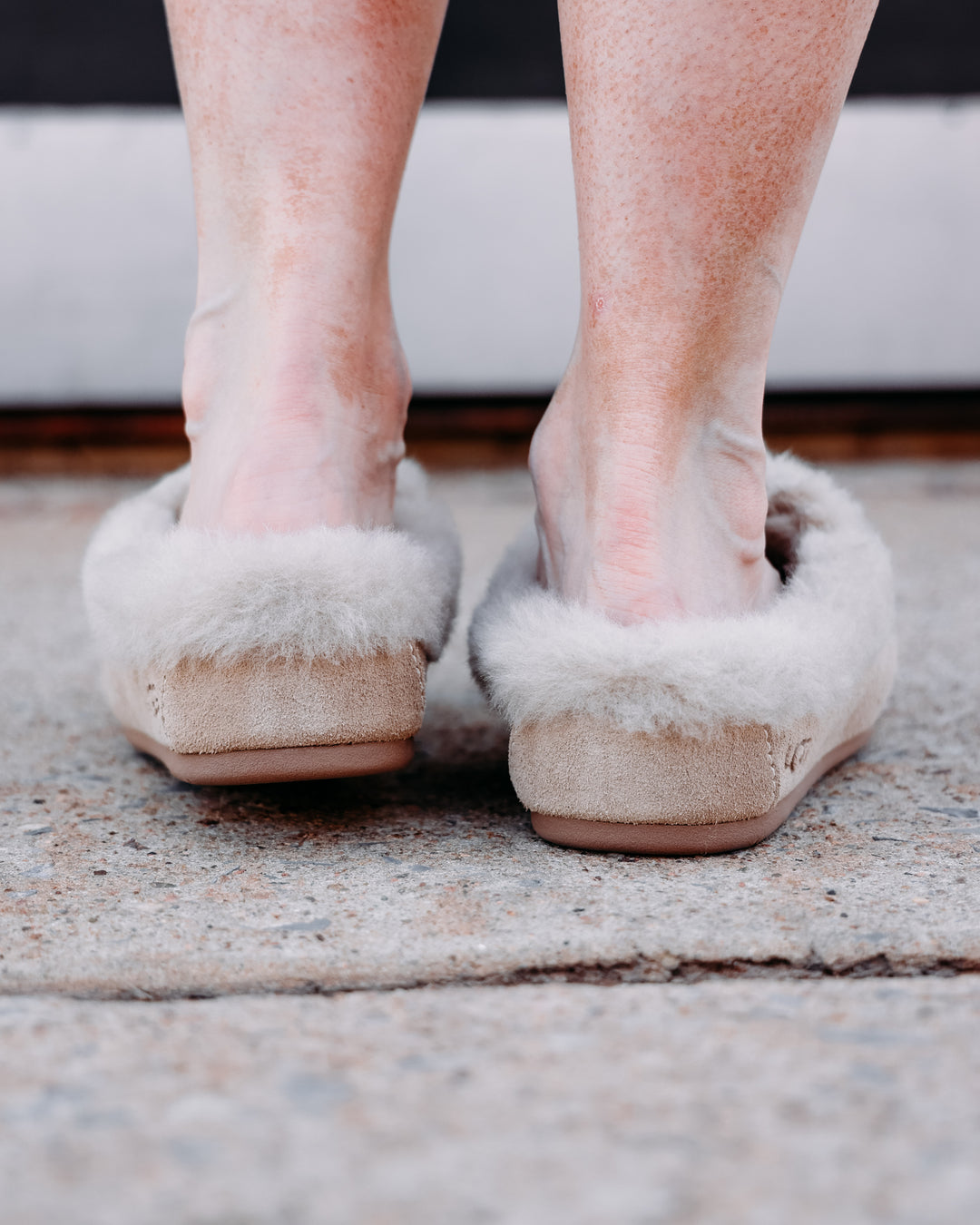 UGG: Ansley Mule in Moonlight (1171391)