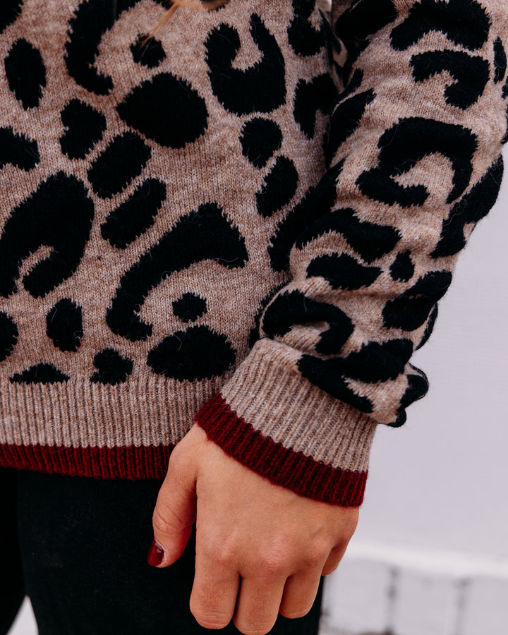 Charlie B: Hooded Sweater In Leopard Jacquard Contrast Trim in Animal (C2436J)