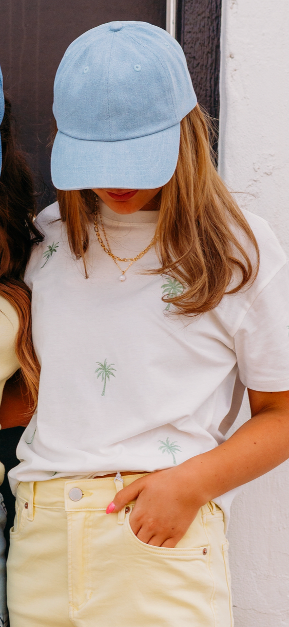 Z Supply: Premier Hat in Light Blue