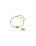Kendra Scott: Tiger Striped Elaina Delicate Chain Bracelet in Vintage Gold Charteuse Green  (9608805499)